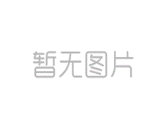 中川翔子资料简介 